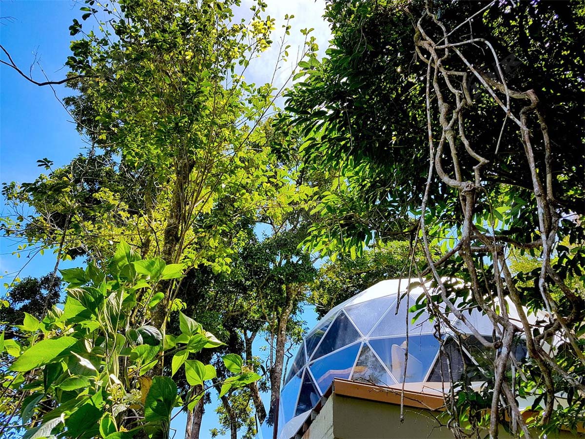 Monteverde Glamping Unique Experience with 6 Geodesic Domes Tent Pods