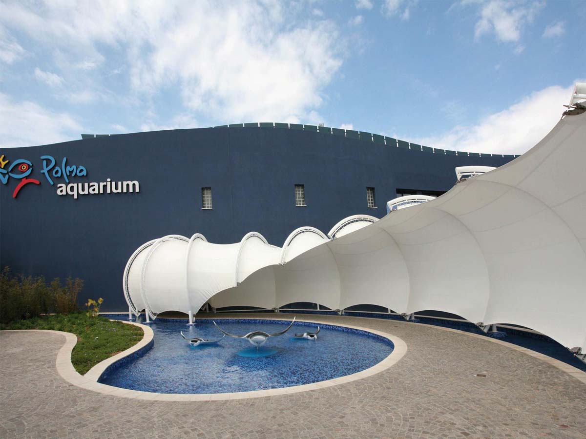 PVC PVDF PTFE-Trekstructuren voor Aquarium, Wetenschapsmuseum, Seaquarium