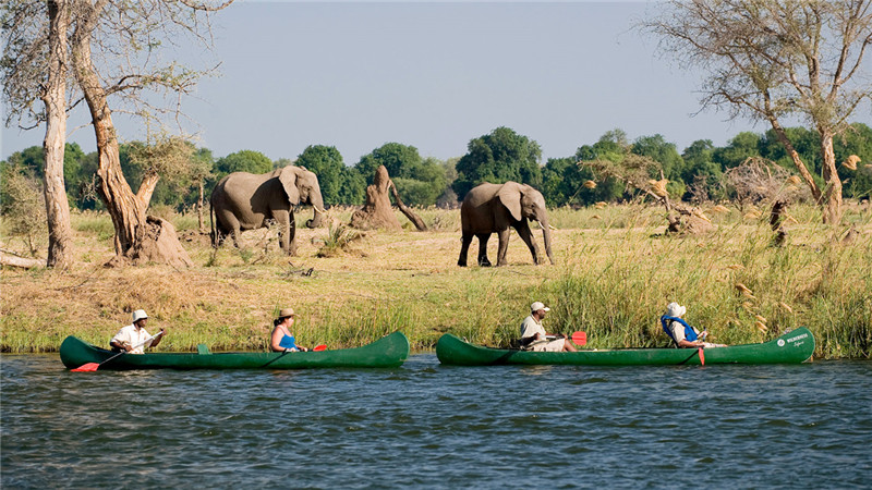 Cos'È L'Ecoturismo?