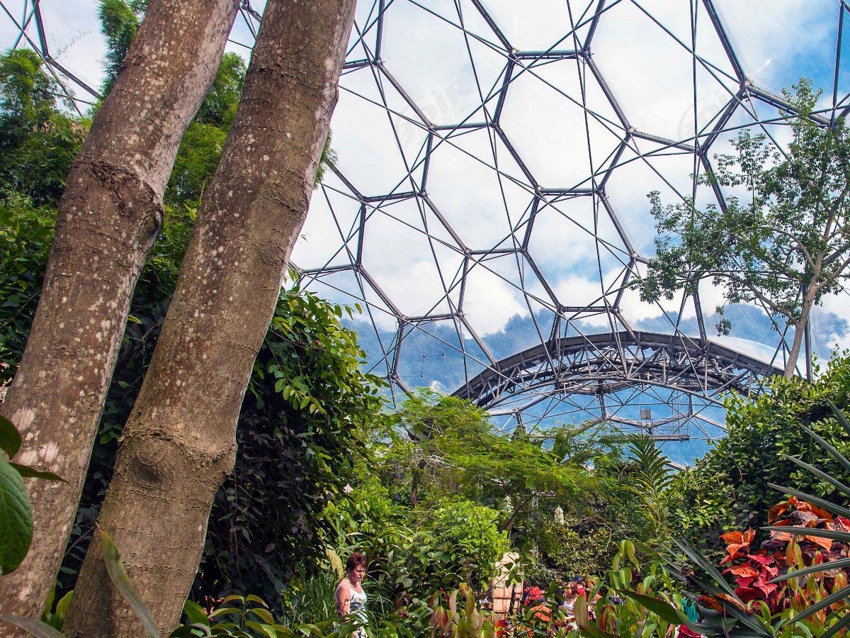 Estructura de Domo ETFE para Invernadero, Bioma de Selva Tropical, Proyecto Eden