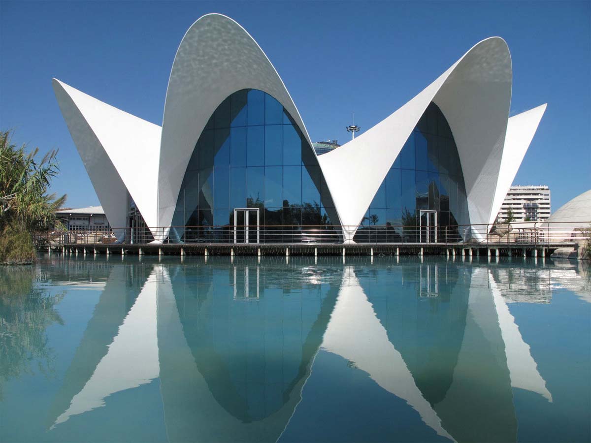 Chine Tensile Structures for National Museum - Art, Science, Natural History Venue fournisseur Tensile Structures for National Museum - Art, Science, Natural History Venue