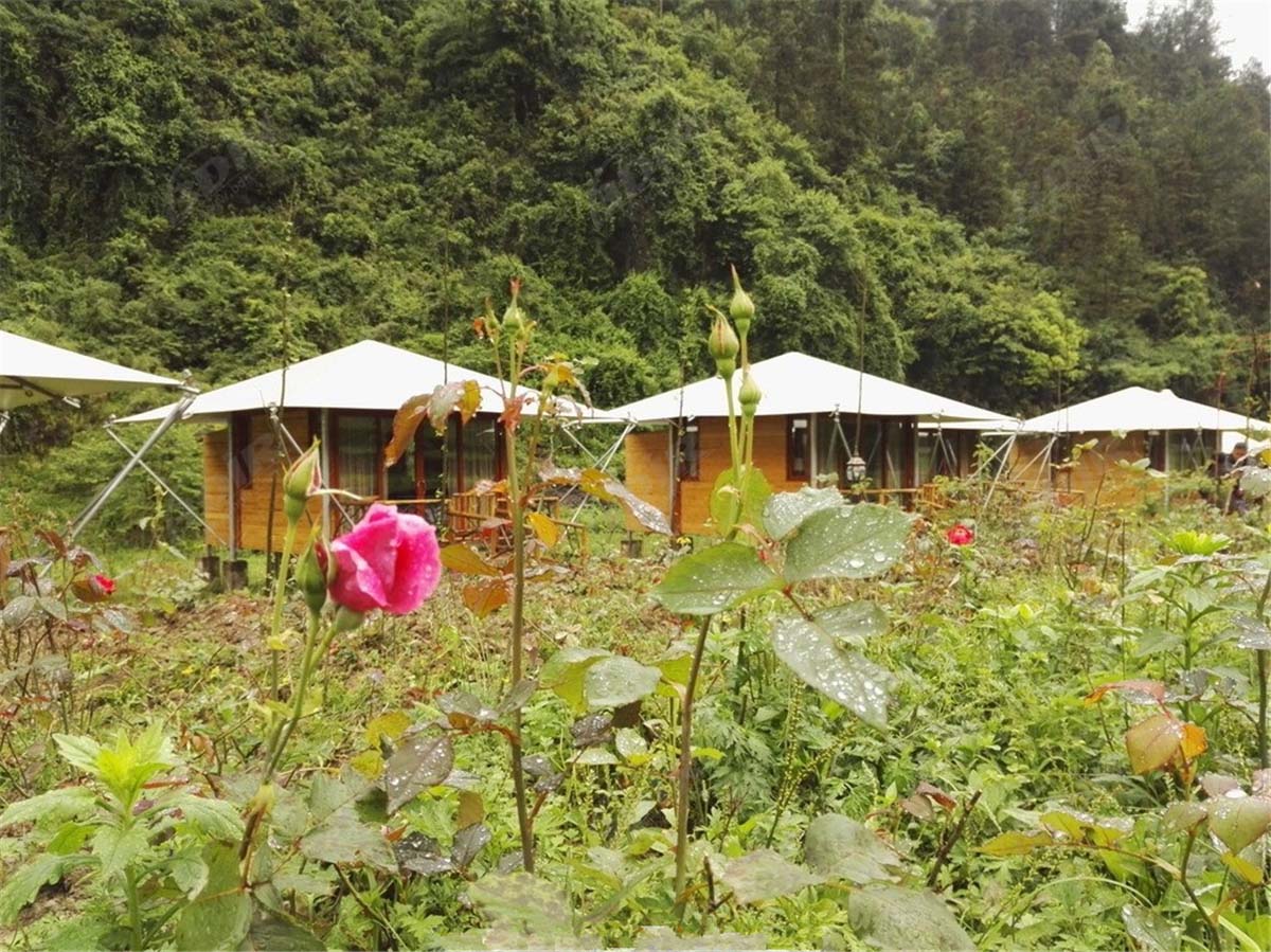 Desain Tenda Mewah Berkemah Resort, Glamping Pemasok Tenda - Chongqing, Cina