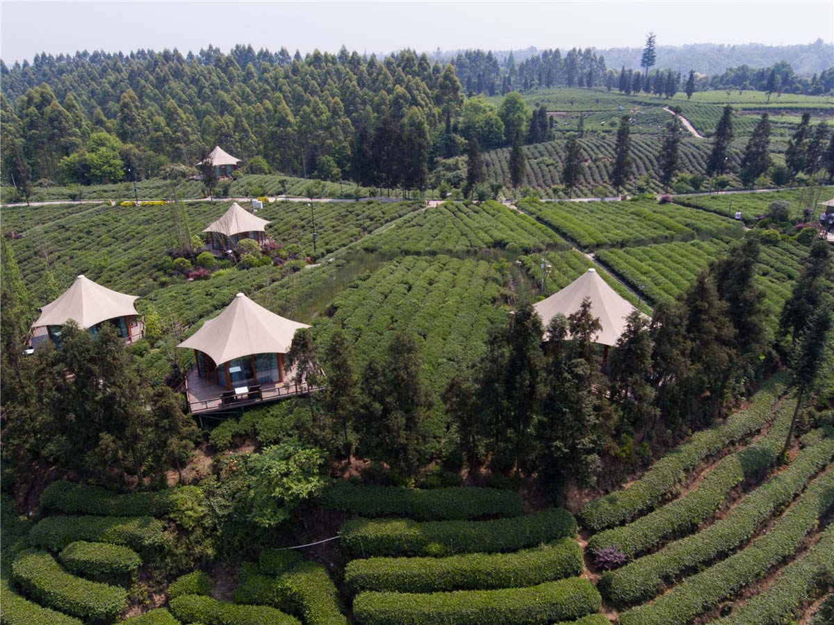 China Estructuras de Carpas Ecológicas de Lujo Logias para el Hotel de Vacaciones Tea Garden - Sichuan, China proveedor Estructuras de Carpas Ecológicas de Lujo Logias para el Hotel de Vacaciones Tea Garden - Sichuan, China