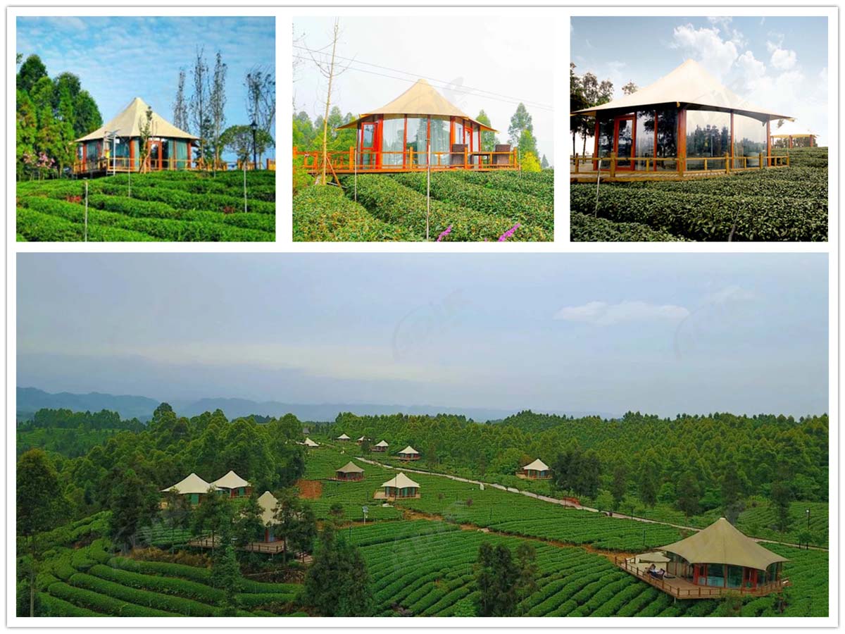 роскошные экологически чистые палаточные домики для чайного сада - Сычуань, Китай