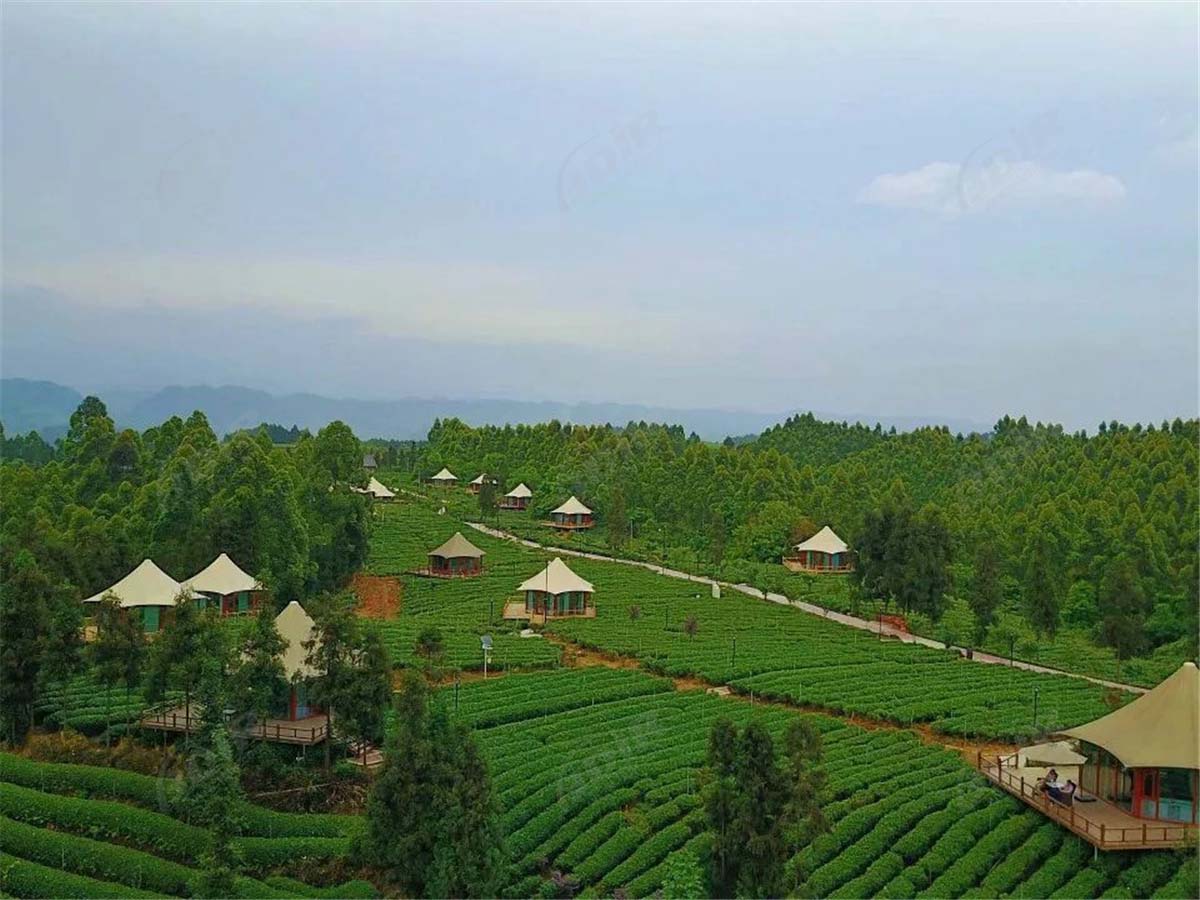 Lüks Eko Dostu Çadır Yapıları Çay Bahçesi Tatil Otel Için Zâviye - Sichuan, Çin