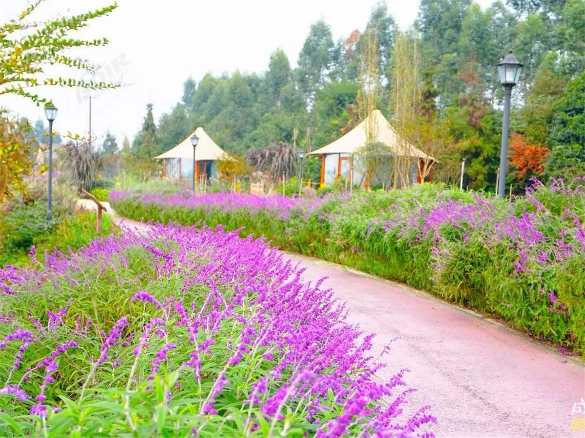 Luxury Eco Friendly Tent Structures Lodges for Tea Garden Holiday Hotel - Sichuan, China