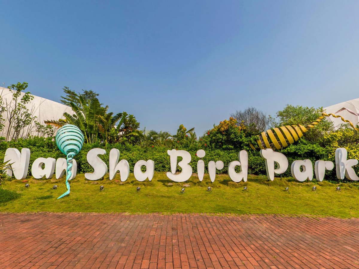 Cina Nan Sha Parco Degli Uccelli Struttura Dell'Ombra di Trazione - Nansha, Cina fornitore Nan Sha Parco Degli Uccelli Struttura Dell'Ombra di Trazione - Nansha, Cina